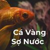 cavang_sonuoc