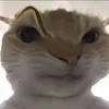 user2427678