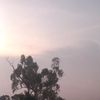 nrrl_3