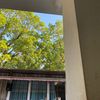 alee_449