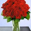 shaam321