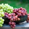grapegod01