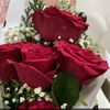 mimi8786m