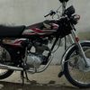 ranakashikashi4