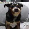 eeeebaaaaaa