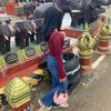 only_teabmuy