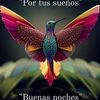 laalienbv