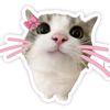 onyourkyl