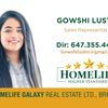 gowshilustin