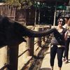 travelguidemona