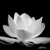 ebe.thuhuong07