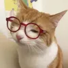 _nhingiha_0