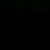 user704257088