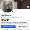 phuongnamnguyen955