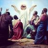 sloththesavior