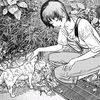 info33cats