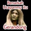adul20