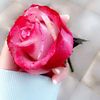 rnoo5550
