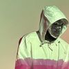 fruitninjafan2048