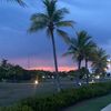 shalu_m