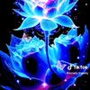 user044967735
