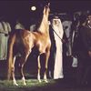 khalid49032