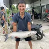 hoa_ga_93