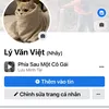 vietbeo45