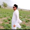 bossnaveedkhan