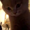 __________4u__________