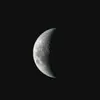moonlight_11566