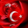 ayselgundogduuu