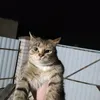 deed_killer_pubg