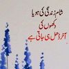 israrahmad12340