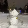 curdik_xd