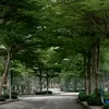 night_design_