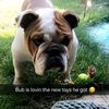 co_rn5280