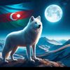 sehriyar.rzayev