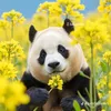 iamthao94