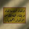 user6662207004505