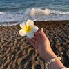 amounaa_369