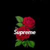 iamty23
