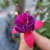 roseart90