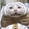medoriyamy