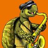 thesoloturtle