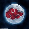 cryptogamin