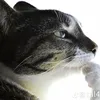 mmbkrbbrbfbbdkkfkjfi
