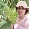 hoanghue220492