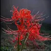 trangta11101992
