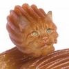 catsgss